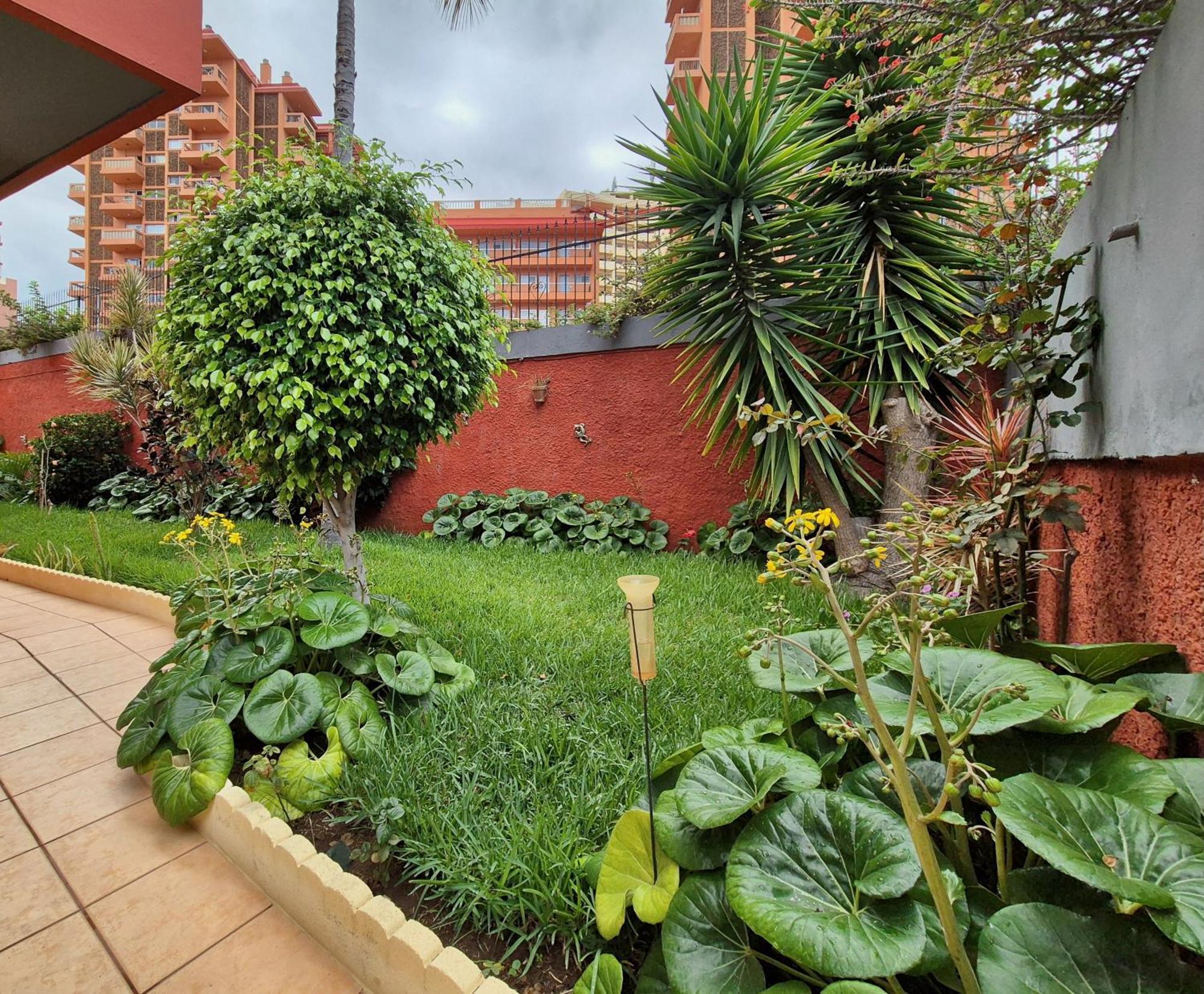 Canaima * Puerto de la Cruz (Tenerife)