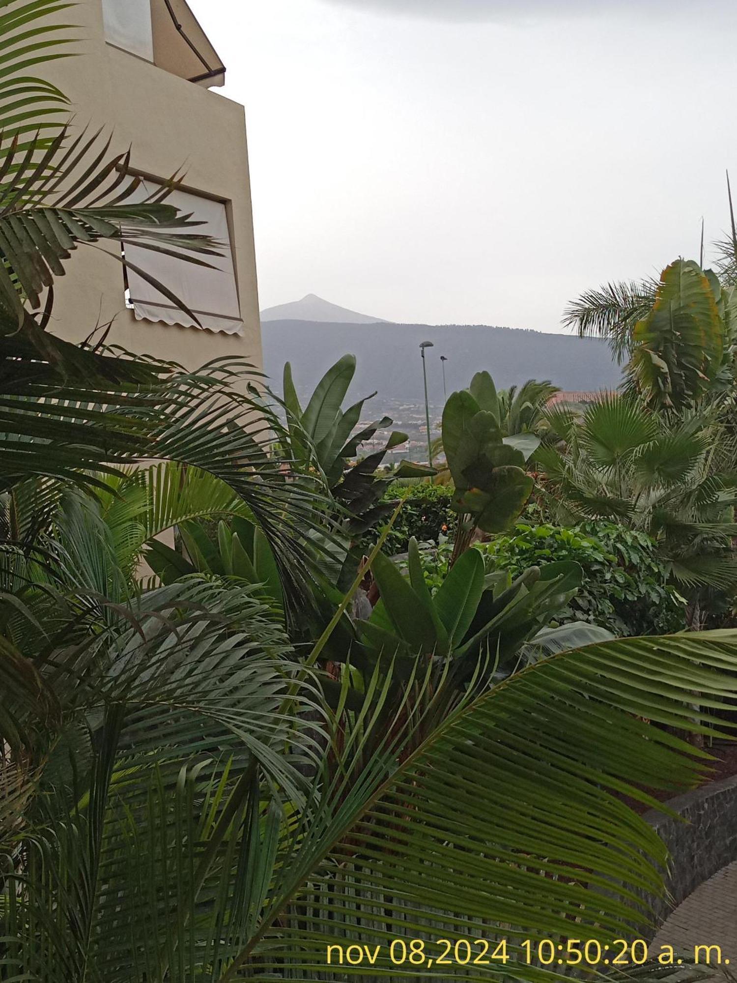 Apartment Dulce Paz Puerto de la Cruz (Tenerife)