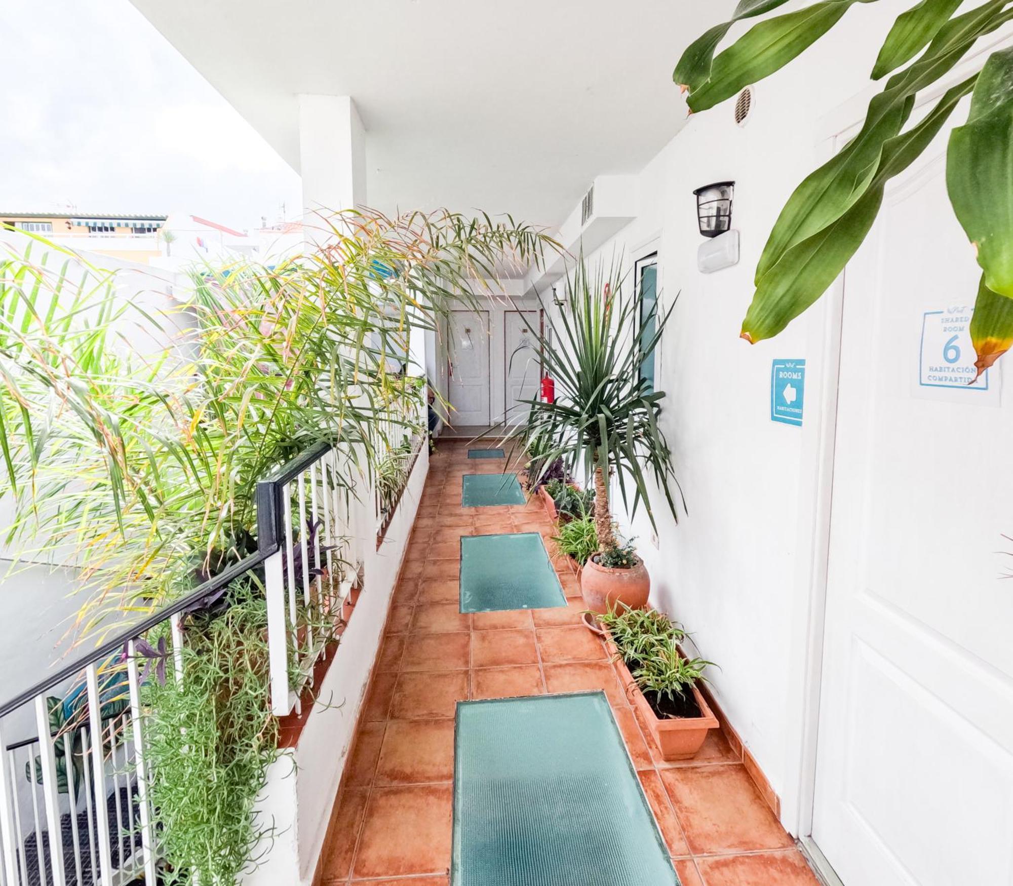 Hostel Puerto Nest Puerto de la Cruz (Tenerife)