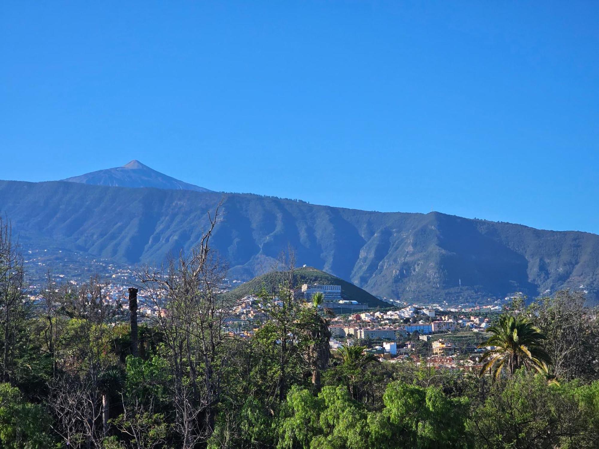 Im La Chiripa Apartment Puerto de la Cruz (Tenerife)