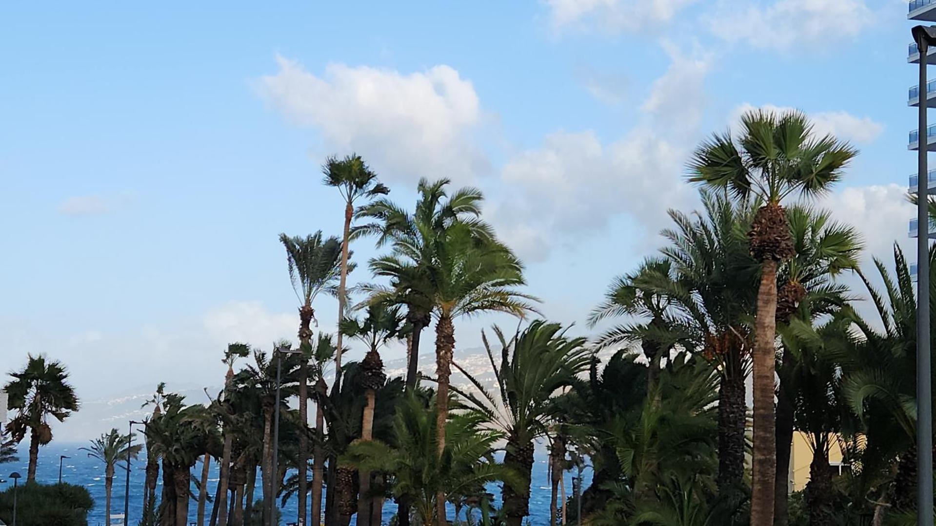 Escapada Ocenica De Ensueno Puerto de la Cruz (Tenerife)