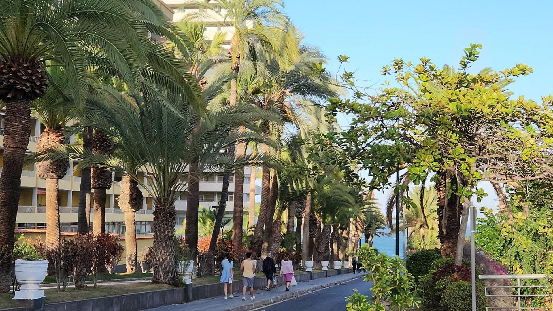 Escapada Ocenica De Ensueno Puerto de la Cruz (Tenerife)