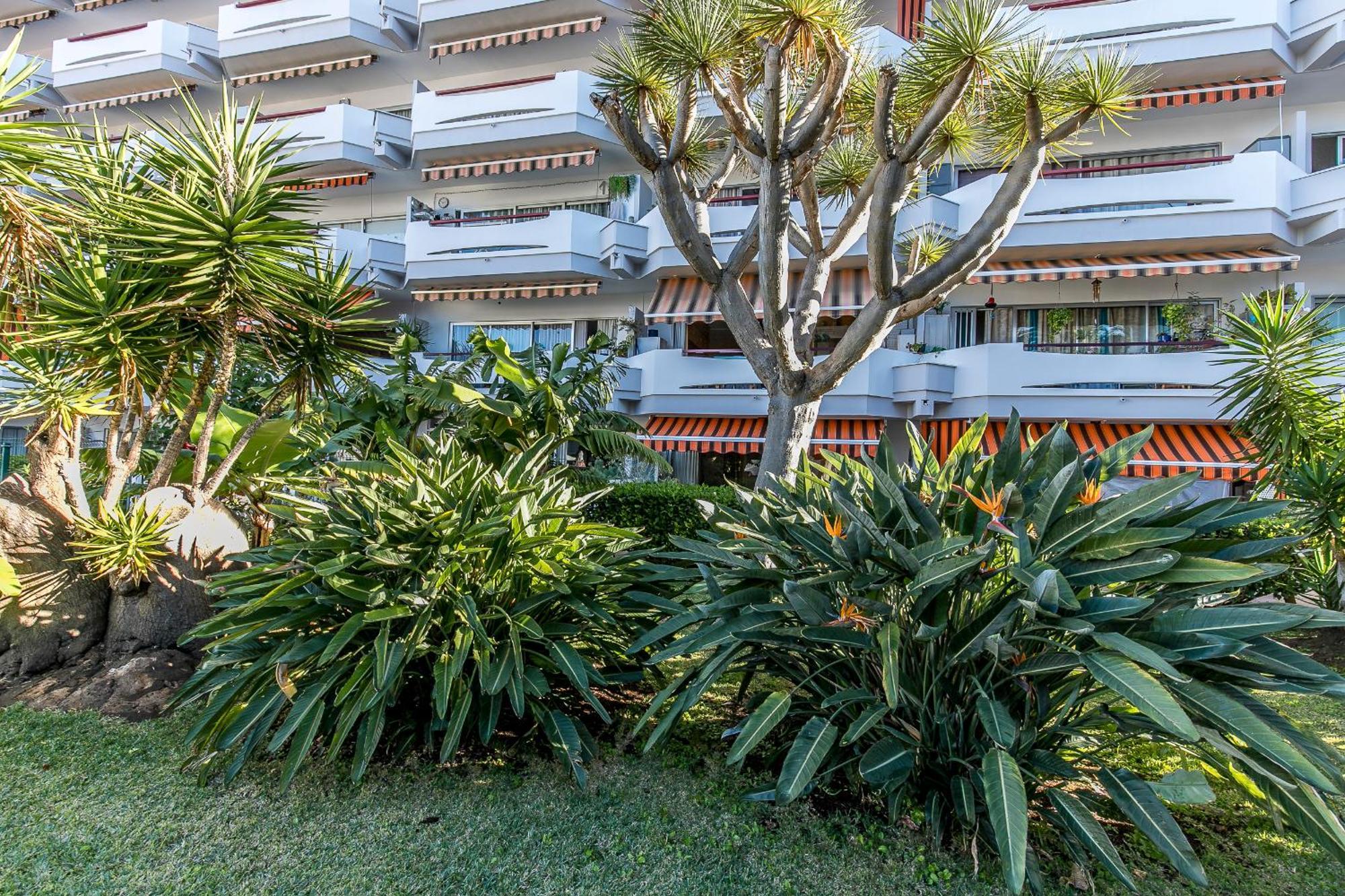 Charming Puerto Cruz, Terrace & Pool Access Apartment *