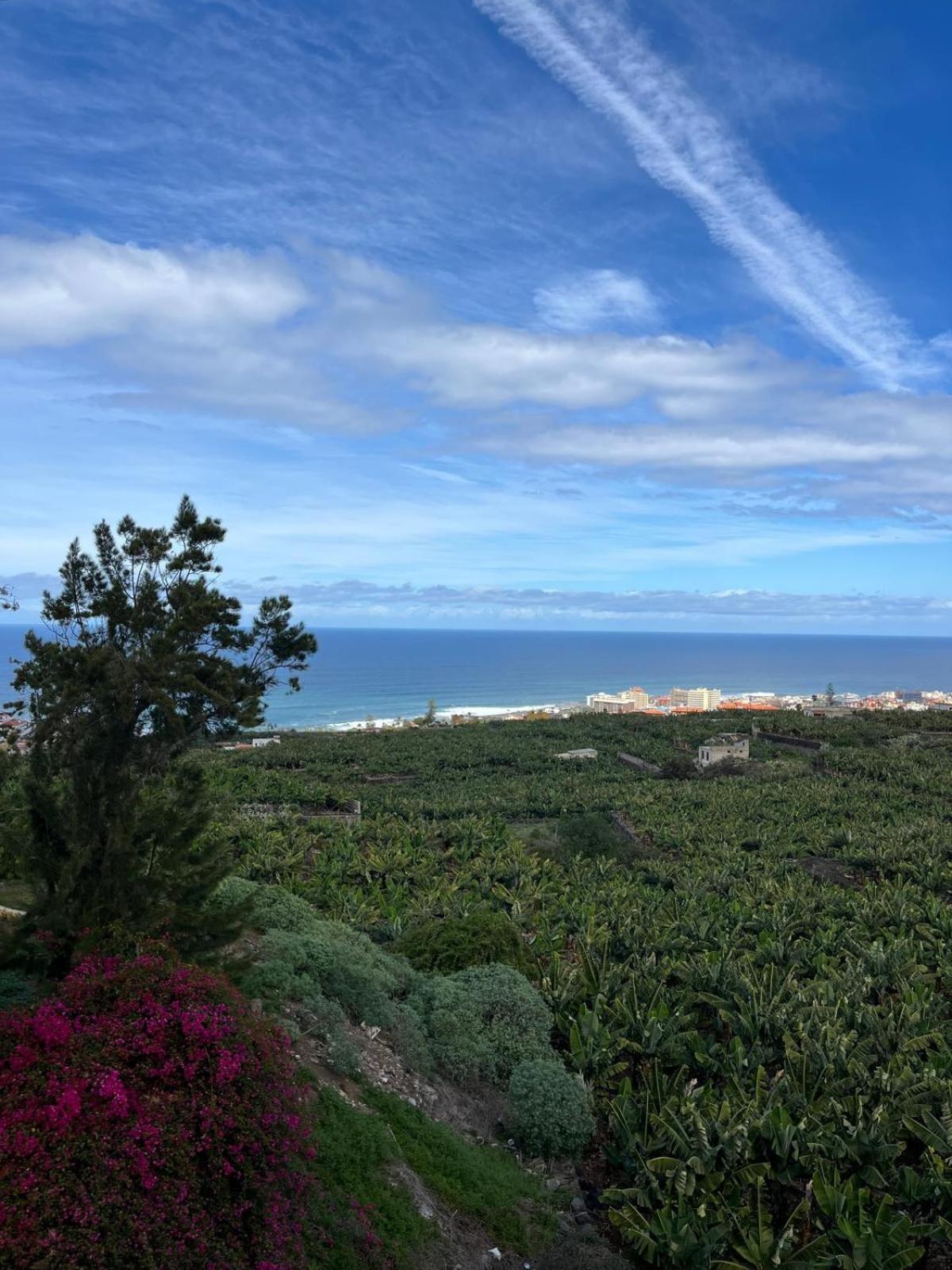 Residencial Pto De La Cruz