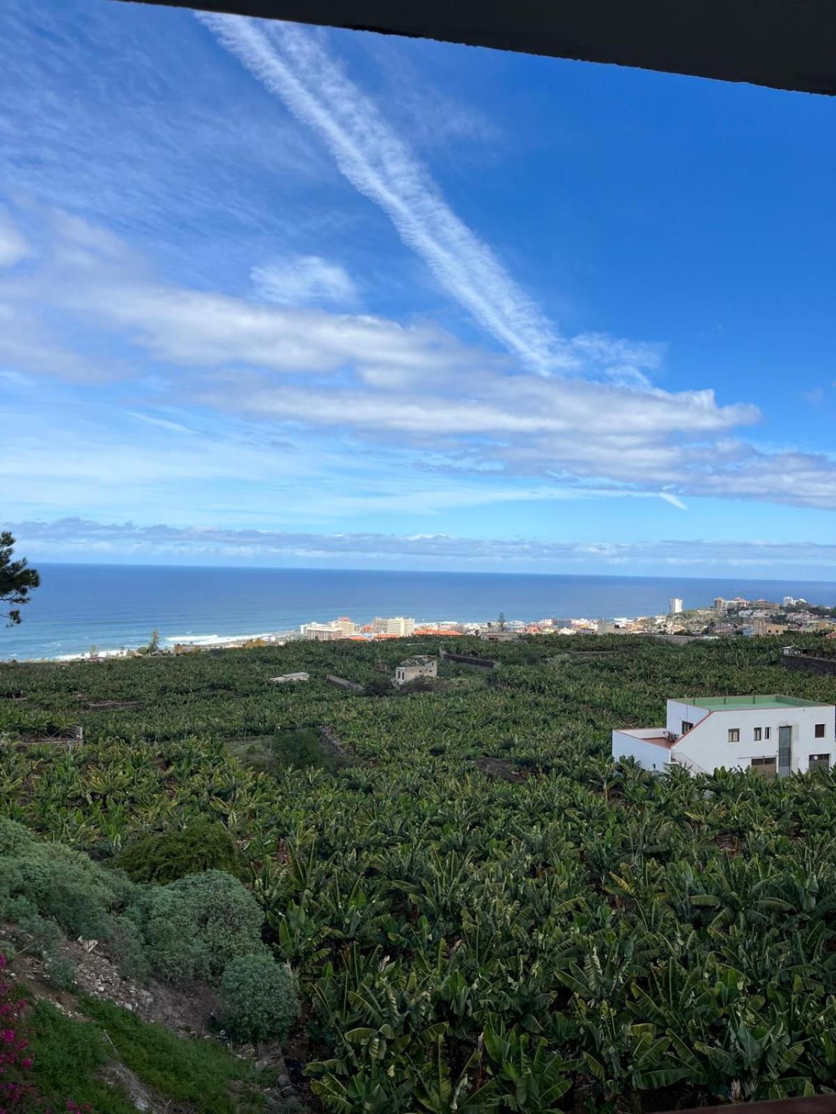 Residencial Pto De La Cruz Apartment Puerto de la Cruz (Tenerife)