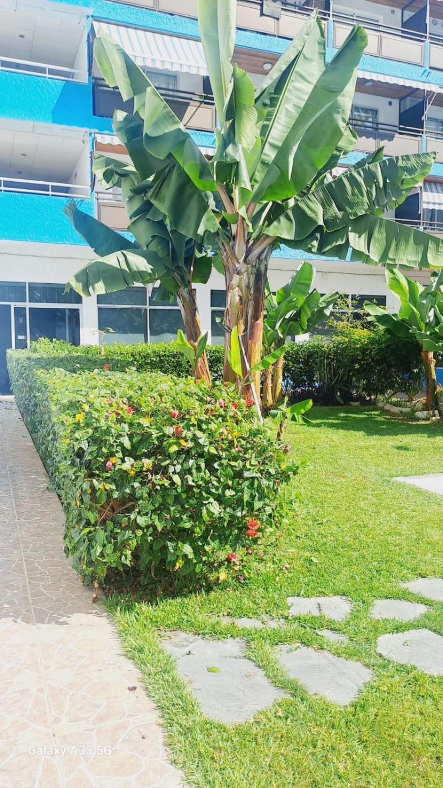 Estudio Playa Jardin * Puerto de la Cruz (Tenerife)
