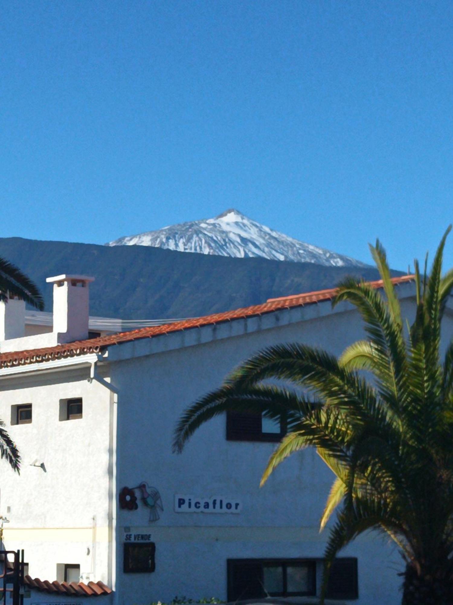Picaflor Colibri Apartment Puerto de la Cruz (Tenerife)