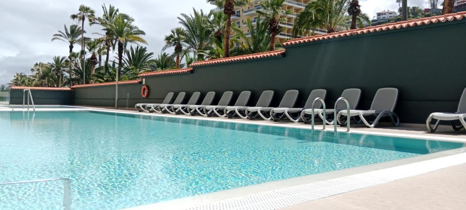 Palmeras * Puerto de la Cruz (Tenerife)