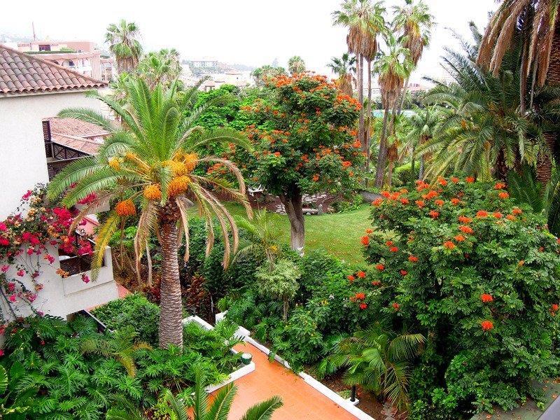Parque San Antonio Hotel Puerto de la Cruz (Tenerife)