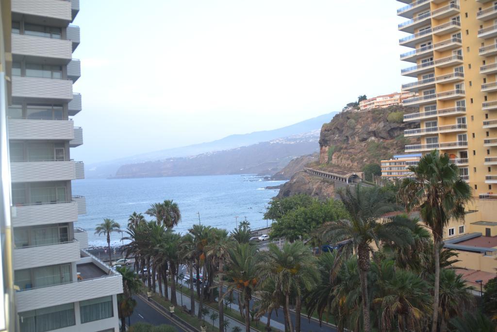 Palmeras Avenida * Puerto de la Cruz (Tenerife)