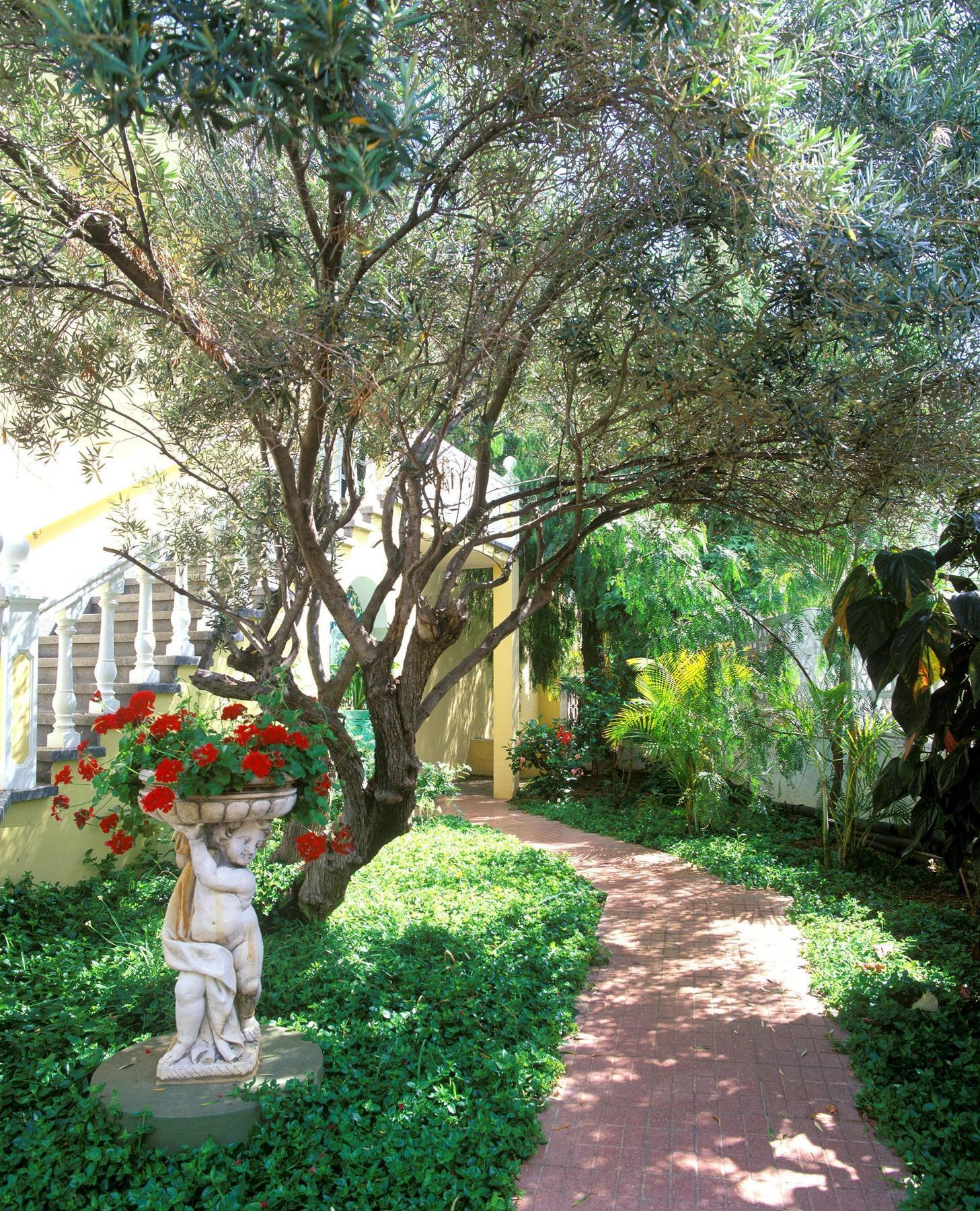 Hotel Rf San Borondon