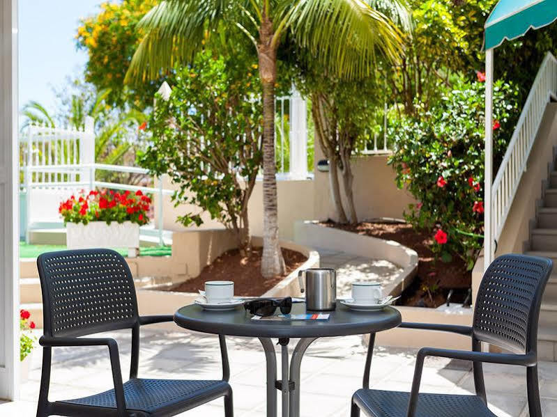 Dragos Del Norte Apartment Puerto de la Cruz (Tenerife)