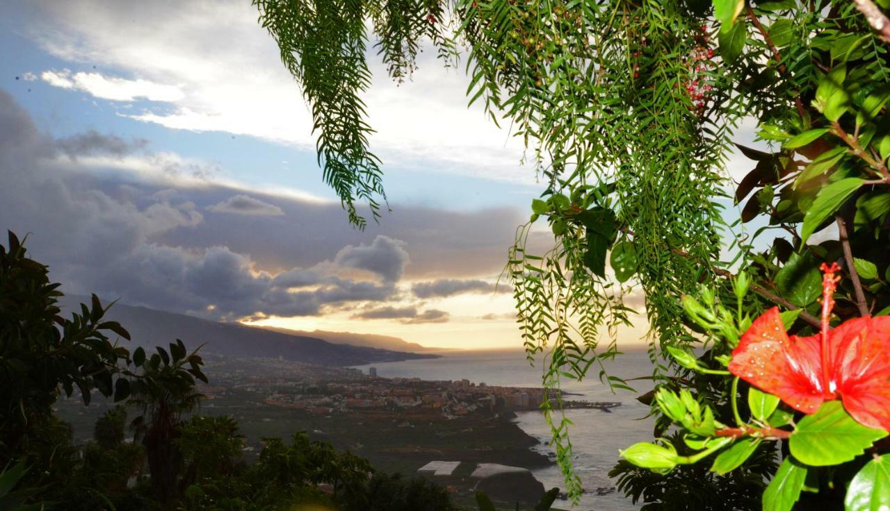 Holiday Puerto De La Cruz Apartment