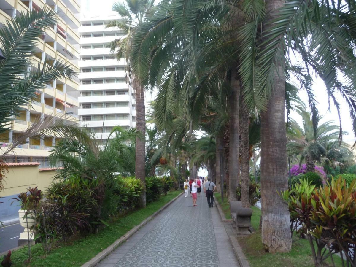 Apartment Martianez Puerto de la Cruz (Tenerife)