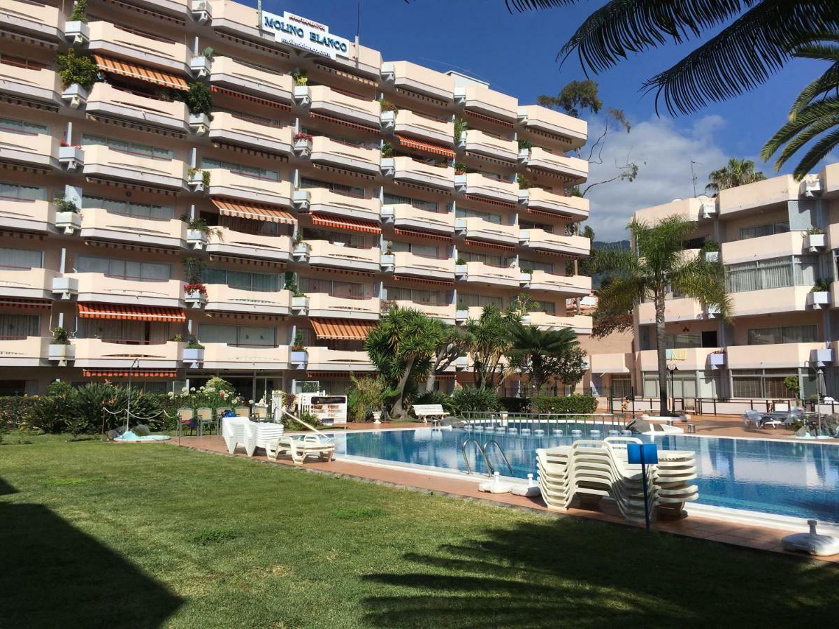 Estudio-molino Blanco Puerto de la Cruz (Tenerife)
