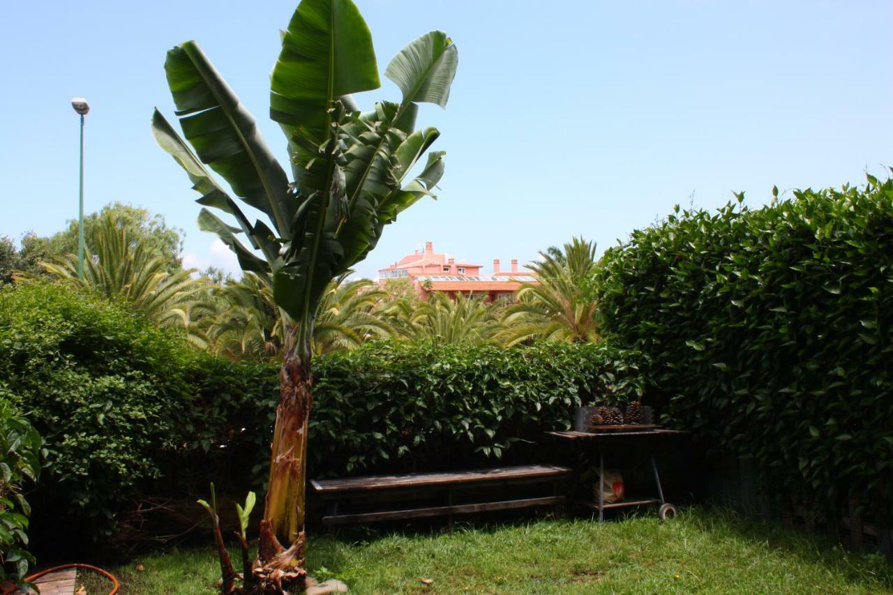 Apartment Con Jardin Y Pescina Puerto de la Cruz (Tenerife)