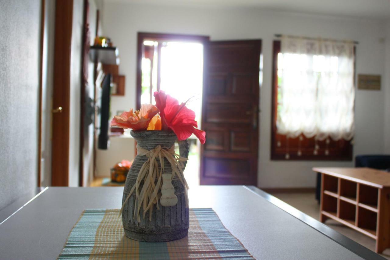 Apartment Con Jardin Y Pescina Puerto de la Cruz (Tenerife)