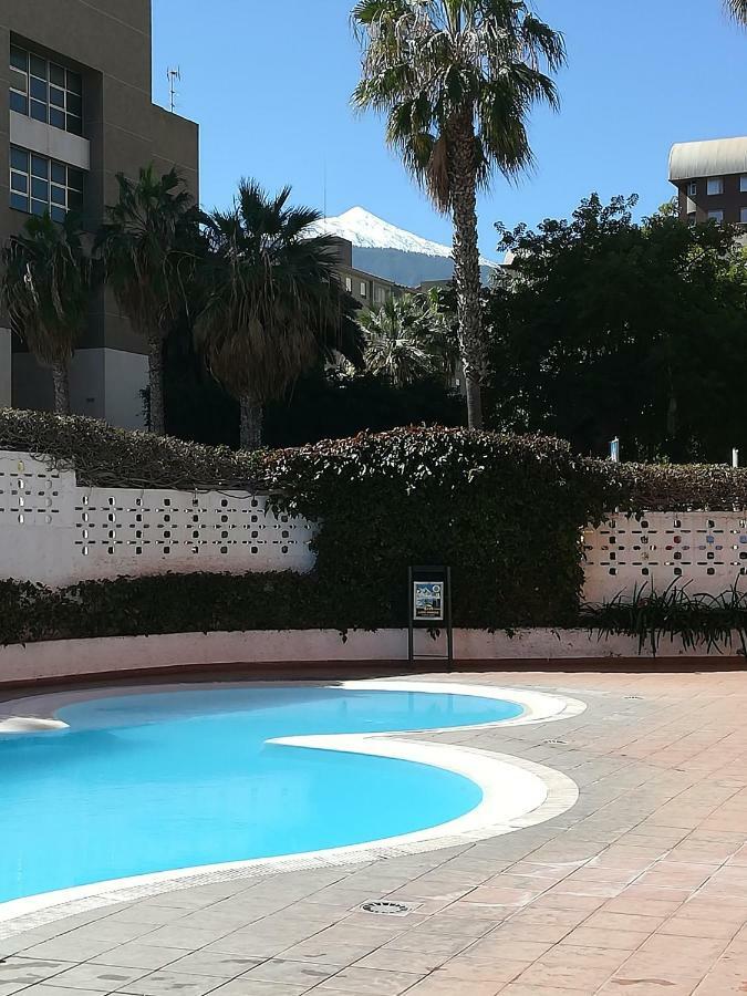 Hand Made Apartment