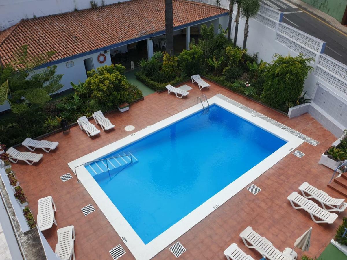 Estudio Brillante, Confortable Y Agradable Apartment