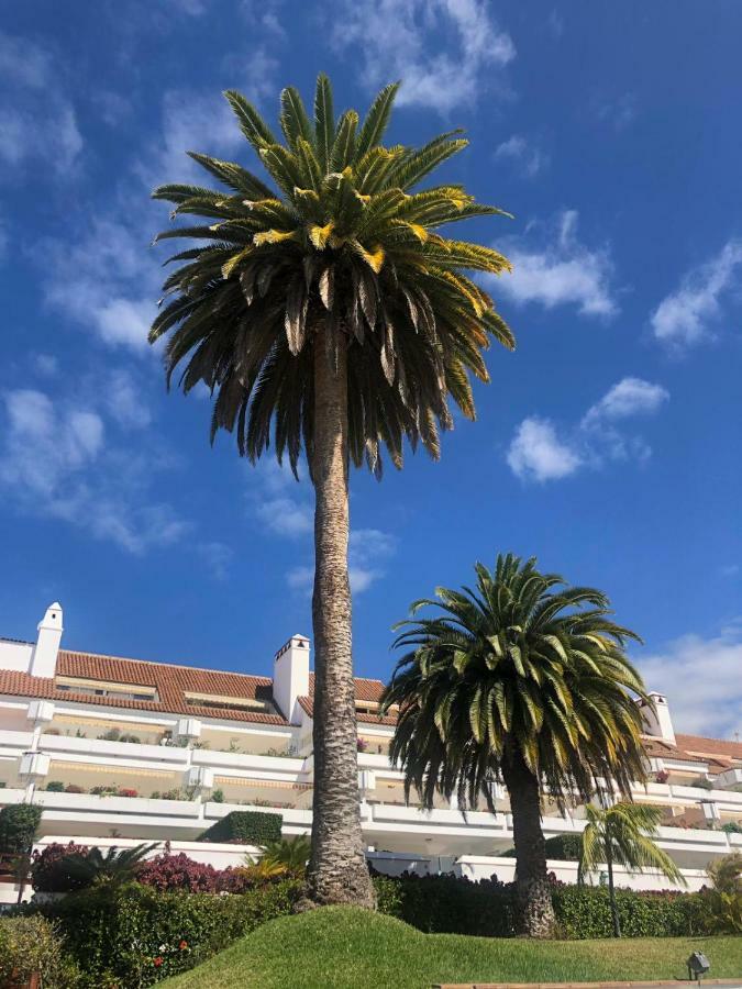 Apartment Apartement Tajinaste Puerto de la Cruz (Tenerife)