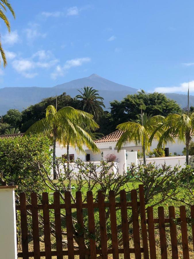 Apartement Tajinaste Apartment Puerto de la Cruz (Tenerife)