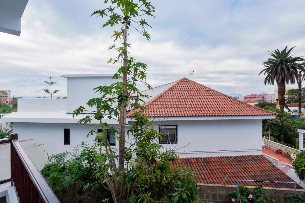 Apartment New Cozy Botanico