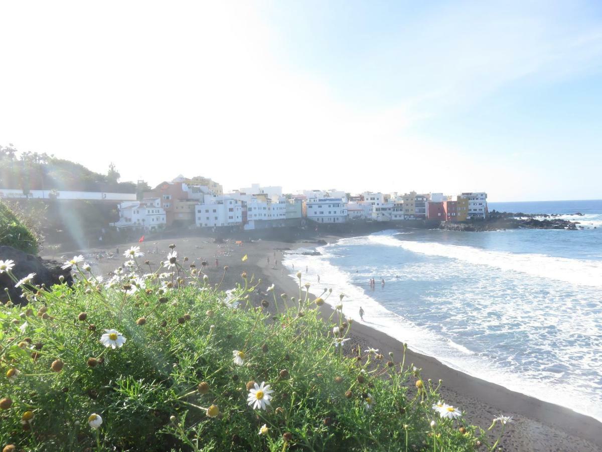 Centrico Loft En El Con Wifi Y Cerca De La Playa Căn hộ Puerto de la Cruz (Tenerife)