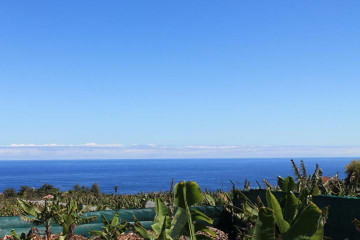 Holiday home Casa Strelizia - Puerto de la Cruz (Tenerife)