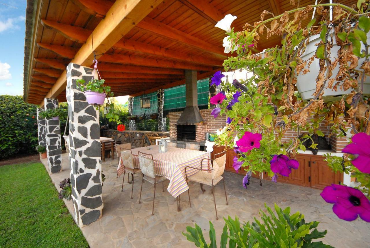 Casa Strelizia - *