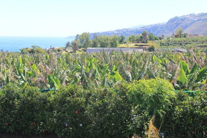 Holiday home Casa Strelizia -