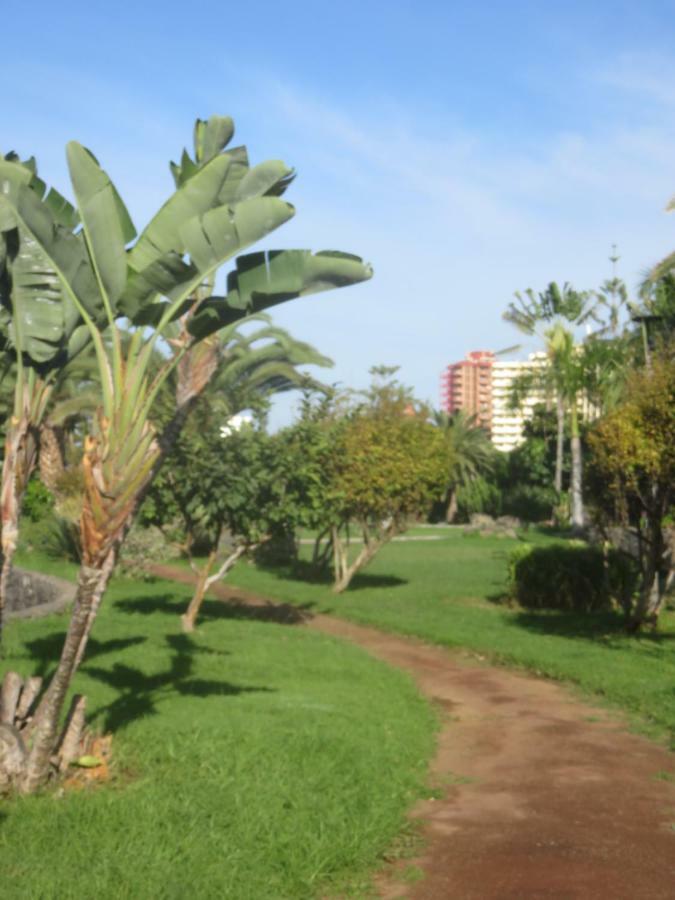 Céntrico Loft En El Puerto De La Cruz Con Wifi Y Cerca De La Playa Apartamento *