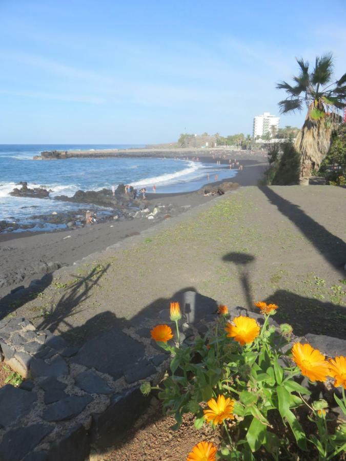 Centrico Loft En El Con Wifi Y Cerca De La Playa * Puerto de la Cruz (Tenerife)