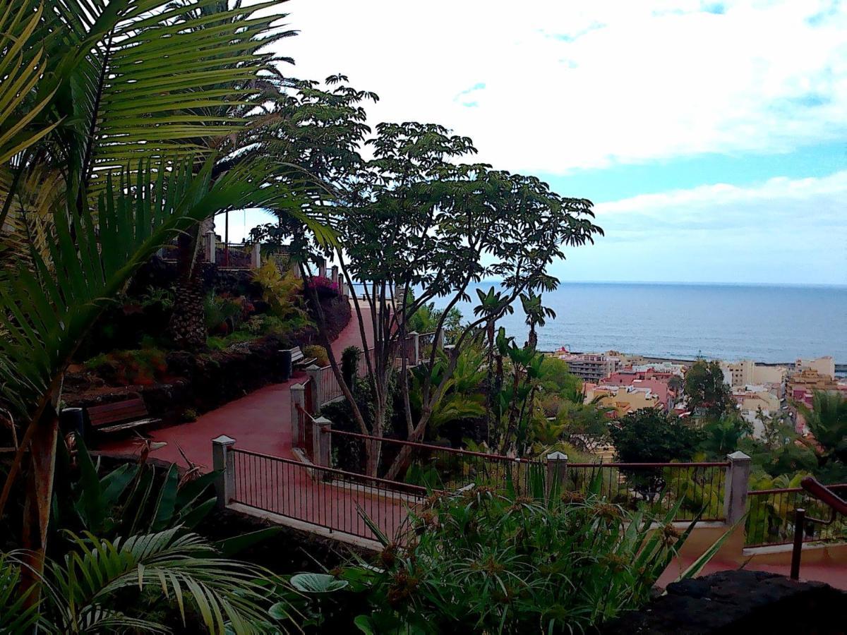 Apartment Estudio Brillante, Confortable Y Agradable Puerto de la Cruz (Tenerife)