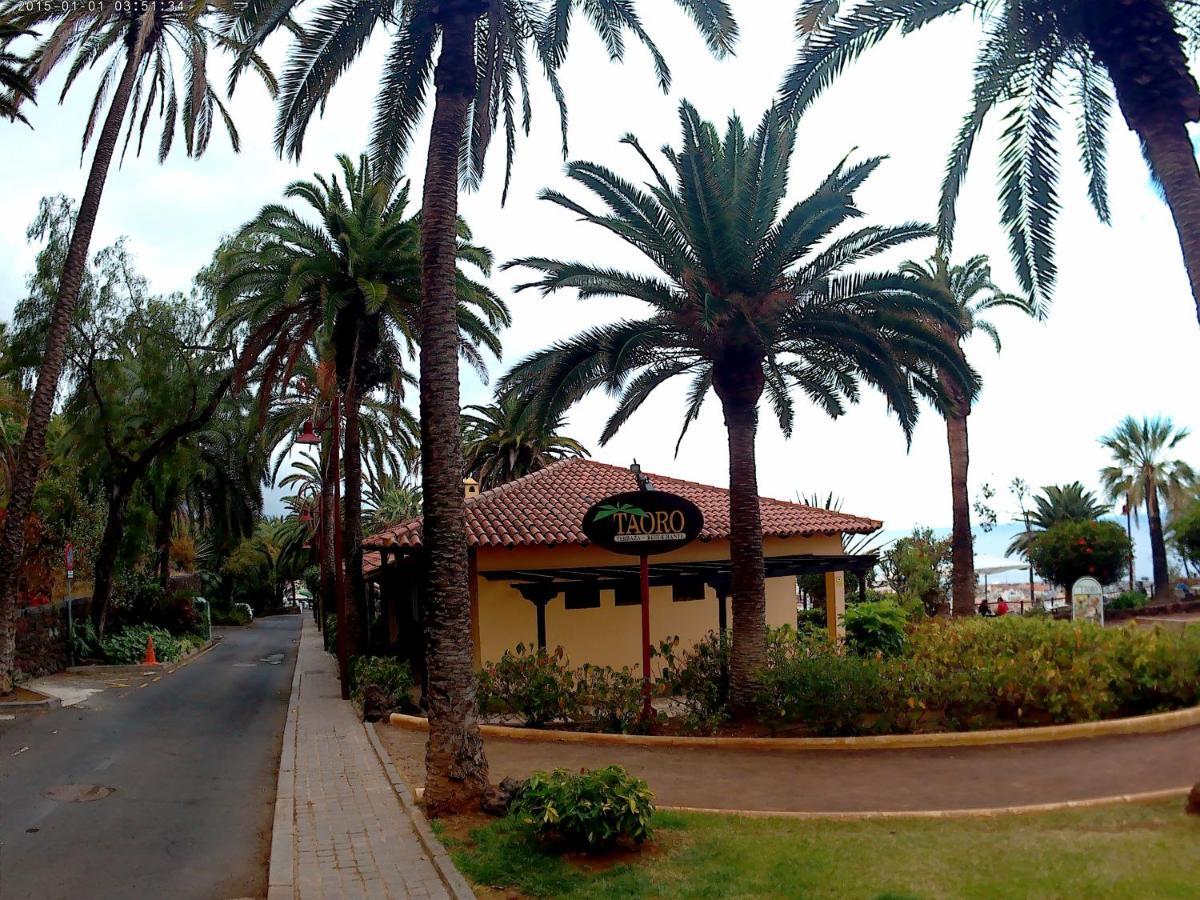 Apartment Estudio Brillante, Confortable Y Agradable Puerto de la Cruz (Tenerife)