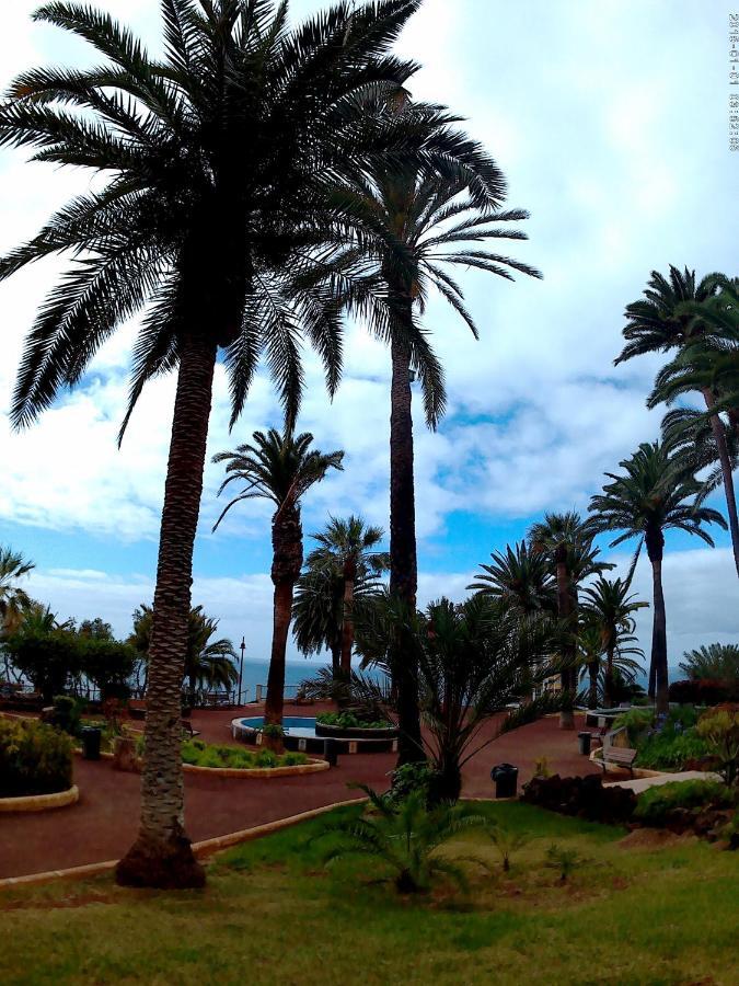 Estudio Brillante, Confortable Y Agradable Puerto de la Cruz (Tenerife)