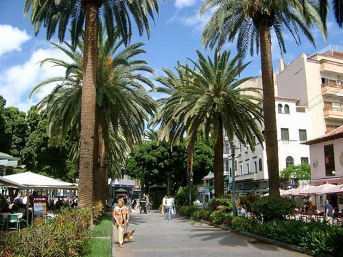 Estudio Dos En Martianez Daire Puerto de la Cruz (Tenerife)