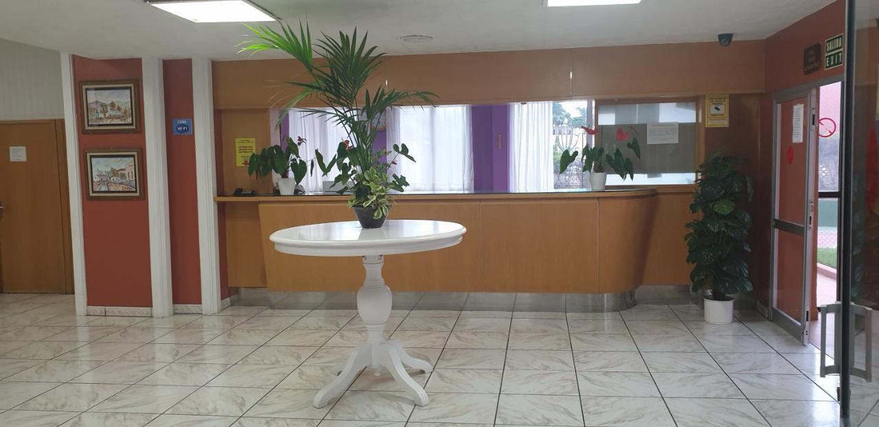 Estudio Neya Puerto de la Cruz (Tenerife)