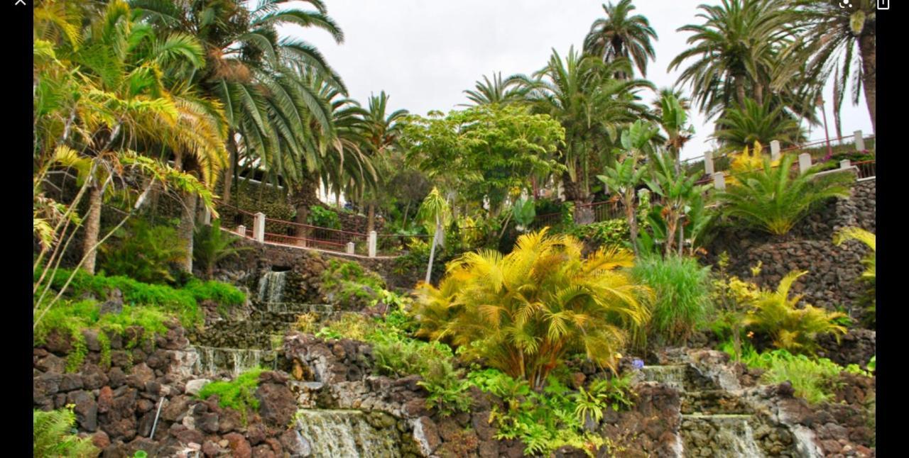 Apartment Estudio Sol Puerto Private Puerto de la Cruz (Tenerife)