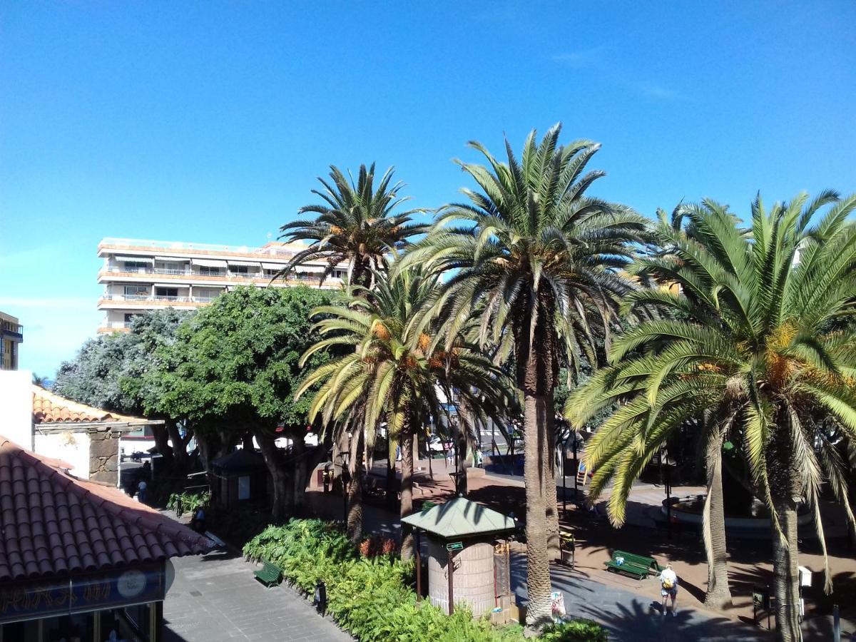 Tropical Puerto de la Cruz (Tenerife)