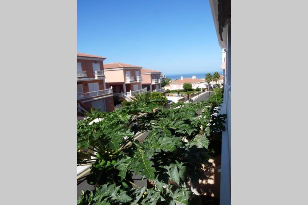 Quiet Apartament With Terrace And Pool * Puerto de la Cruz (Tenerife)