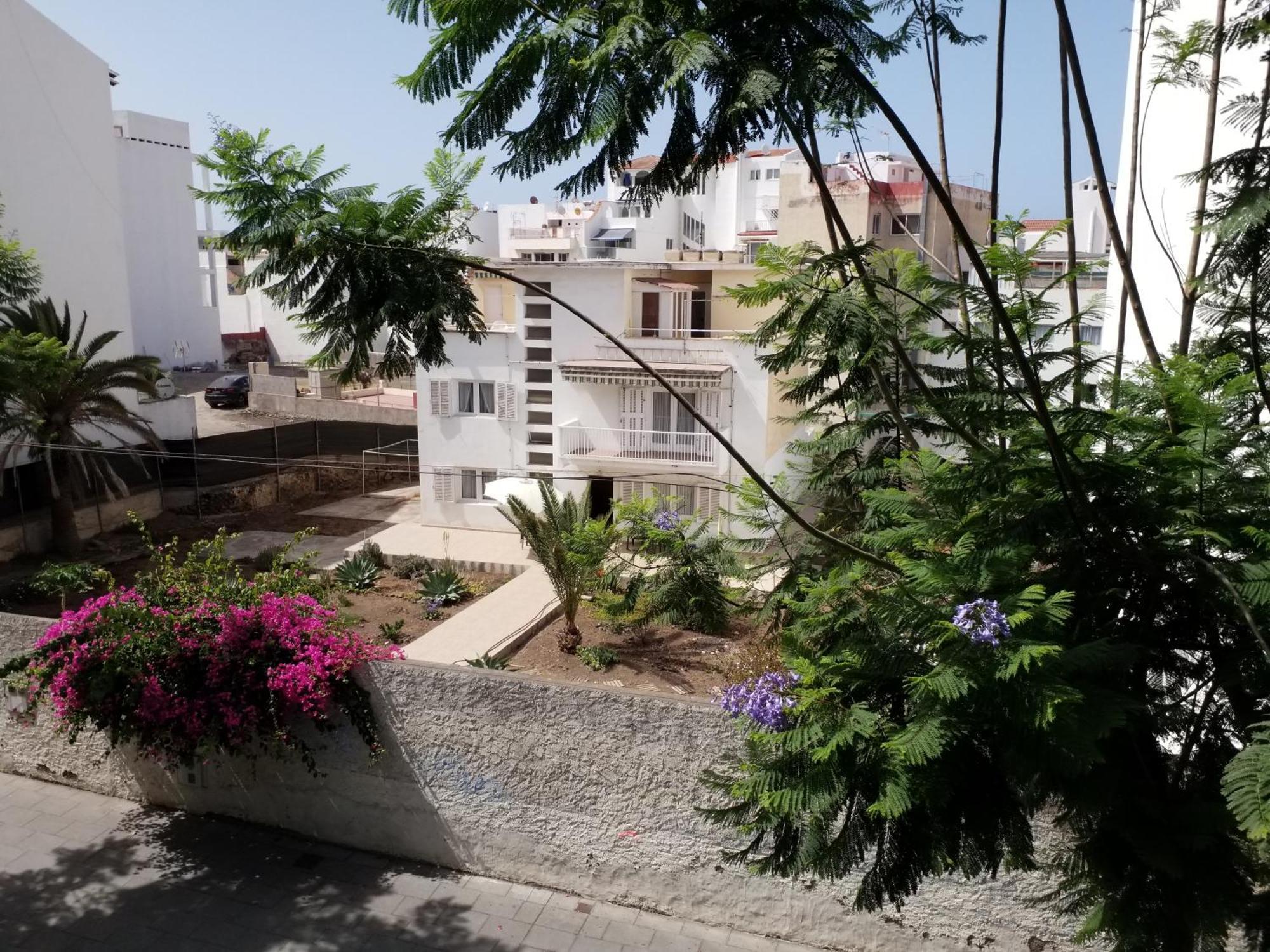 Designer 1 Bedroom White Tree 2 Minutes To The In The Center, Puerto De La Cruz, Tenerife Puerto de la Cruz (Tenerife)