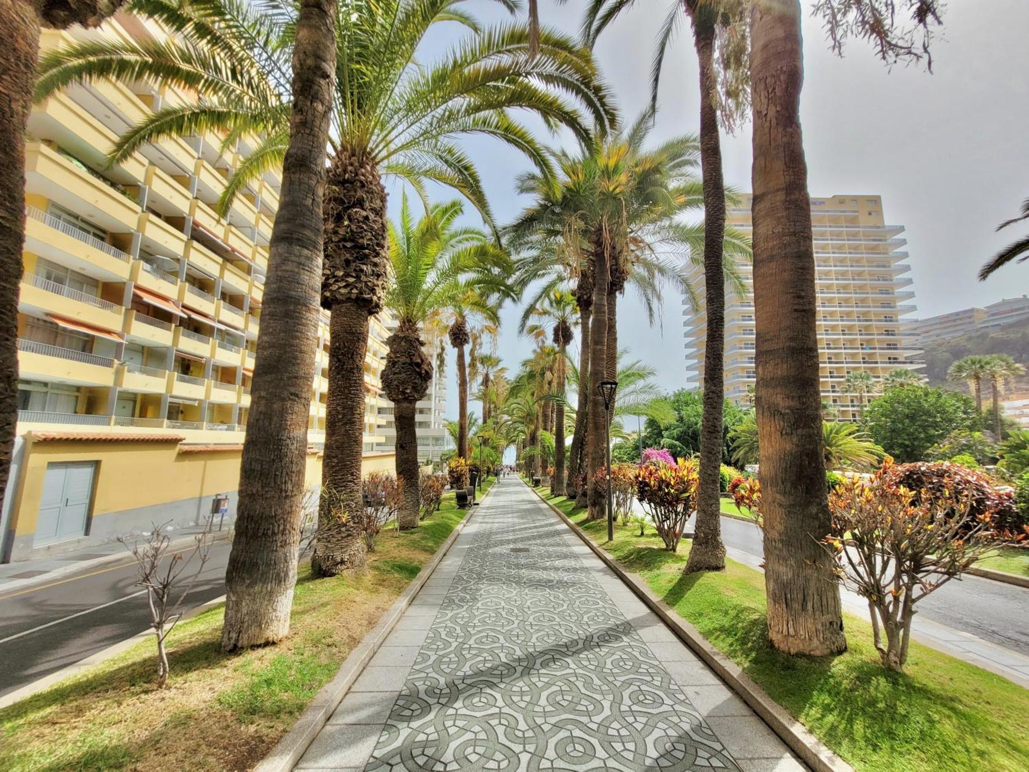 Appartement Alta Groundfloor Puerto de la Cruz (Tenerife)