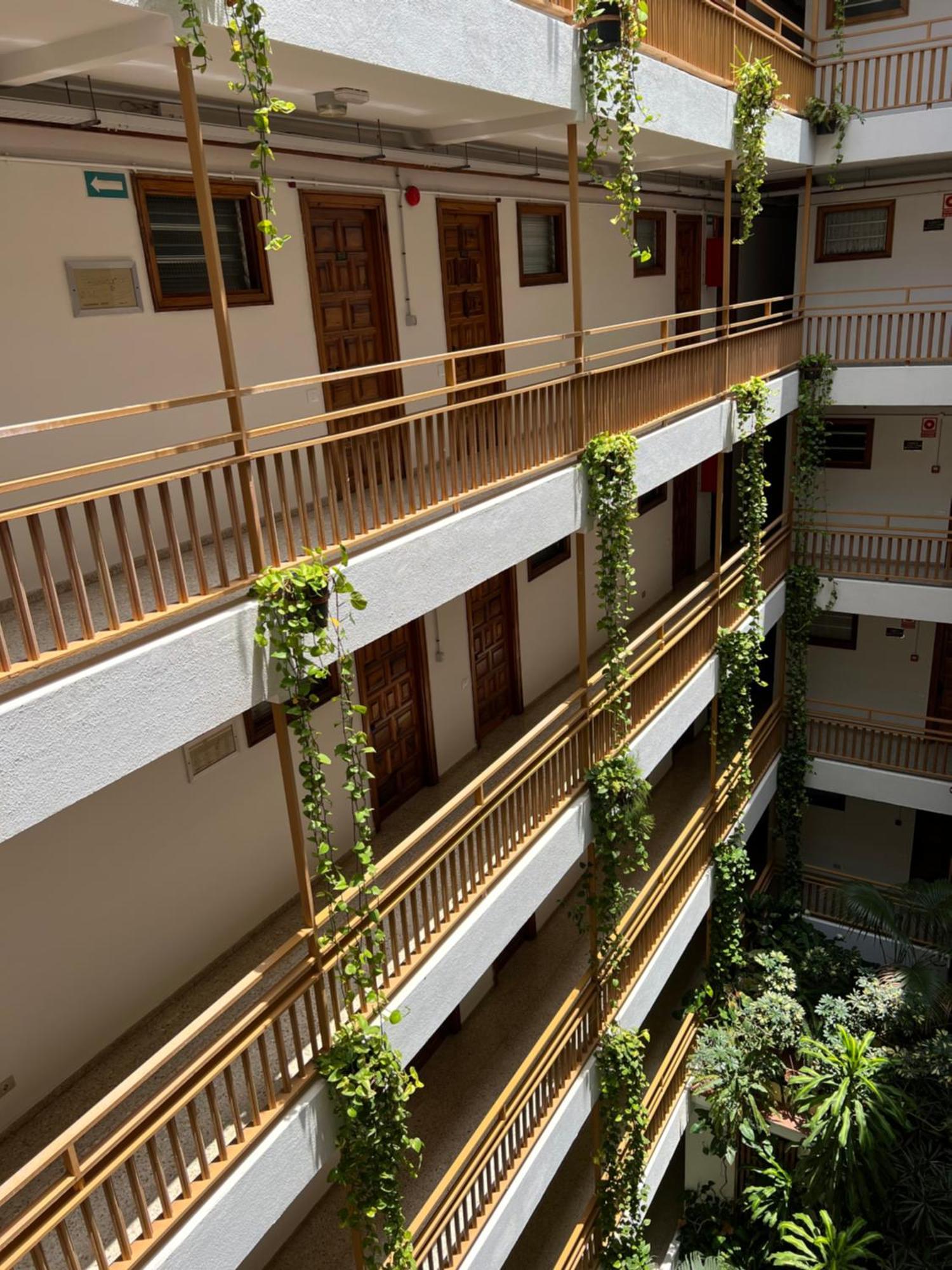 En Plaza Del Charco Apartamento *