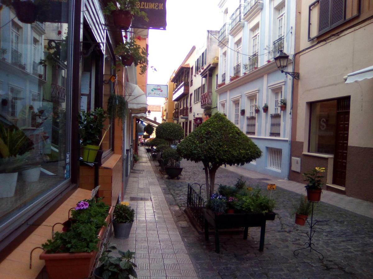 Carlos Y Rosa Căn hộ Puerto de la Cruz (Tenerife)